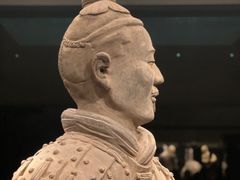-秦始皇帝陵博物院(兵马俑)