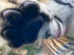 -栾川竹海野生动物园