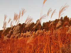 -北京金海湖景区