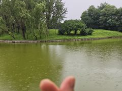 -森林公园(尖草坪区)