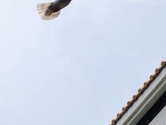 -广州人民艺术中心