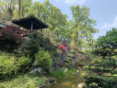 -南山植物园