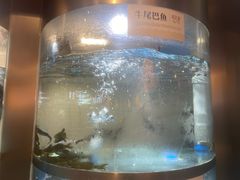 -老船舫·现做活鲜鱼馆(东郊记忆店)