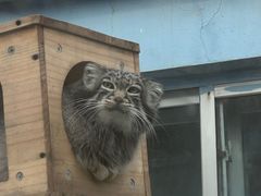-青藏高原野生动物园
