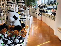 -大连森林动物园熊猫馆纪念品商店