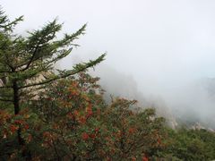 -崂山巨峰游览区