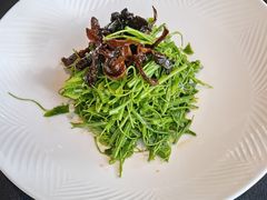 鸡枞菌拌辣木苗-醉东Oriental House(静安嘉里中心店)
