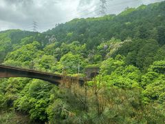 -岚山嵯峨野观光小火车