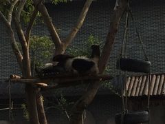 -仙芝竹尖生态园旅游景区