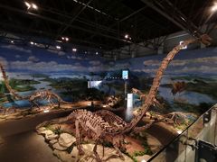 -自贡恐龙博物馆