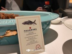 -阿五黄河大鲤鱼(海尚店)