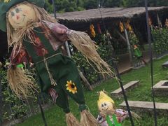 -广东花都香草世界旅游度假区