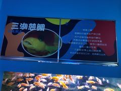 -沙沙哗啦海洋馆(华宇百花谷店)