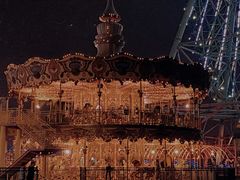 -君来湖滨饭店·玫瑰园