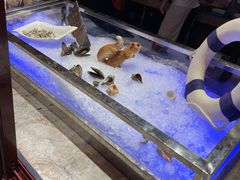 -余姚四明湖开元名都度假酒店·夏威夷西餐厅