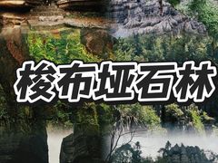 -梭布垭石林景区