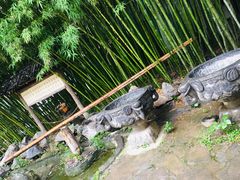 庄园内景-神农庄园