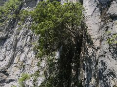 -百色大石围天坑群