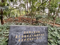 -马王堆汉墓遗址