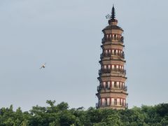 -顺峰山公园