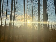 -黄海国家森林公园