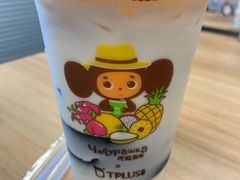 -TPLUS茶家(淮海店)