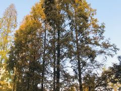 -星巴克(上海交通大学店)