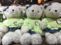 -济州岛泰迪熊博物馆