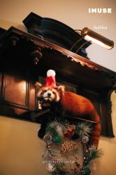 -IMUSE BARBER SHOP