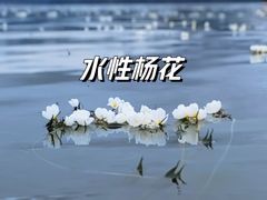 -丽江泸沽湖景区
