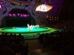 -珠海横琴长隆《卡卡虎奇遇记》