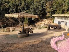 -泉州海丝野生动物世界