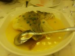 -阳光雷迪森广场酒店(中山东路店)