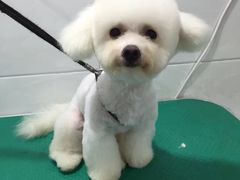 -汪星球宠物生活馆