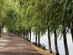 -艾溪湖湿地公园