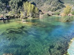 -靖西鹅泉风景区