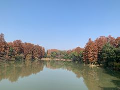 -东湖落雁景区