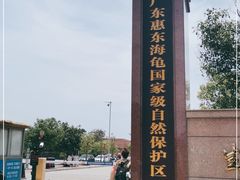 -广东惠东海龟国家级自然保护区