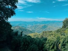 -莫干山风景区