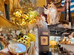 -咖法森林·咖啡  酒吧(天河店)