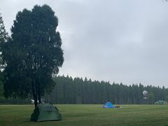 -黄海国家森林公园