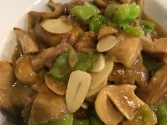 青头菌-菌海森林·非遗野生菌火锅(西山区滇池路摩根道店)