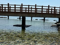 -养马岛旅游度假区