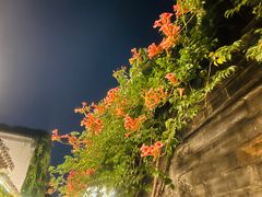 -老门东历史文化街区