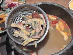 -蘑界·野生菌火锅(深业上城店)