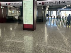 -东方体育中心(地铁站)