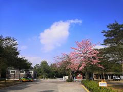-开平碉楼文化旅游区马降龙景区