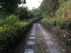 -磐安舞龙峡景区