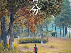 -美兰湖景区