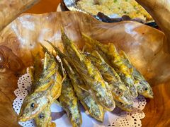 -丹江渔村(望京店)